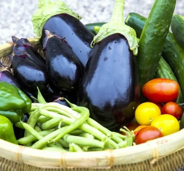 人気の夏野菜の種類一覧！栄養素や効能や家庭菜園に向くものまでご紹介