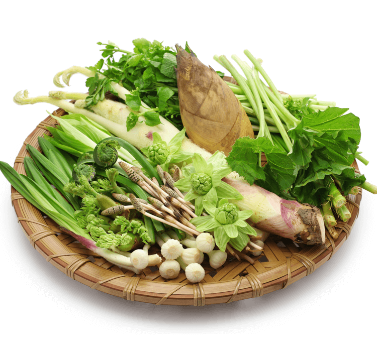 人気の春野菜の種類一覧！おすすめの料理や家庭菜園に向くものまで紹介！