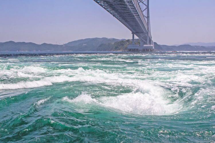 徳島の郷土料理の特徴