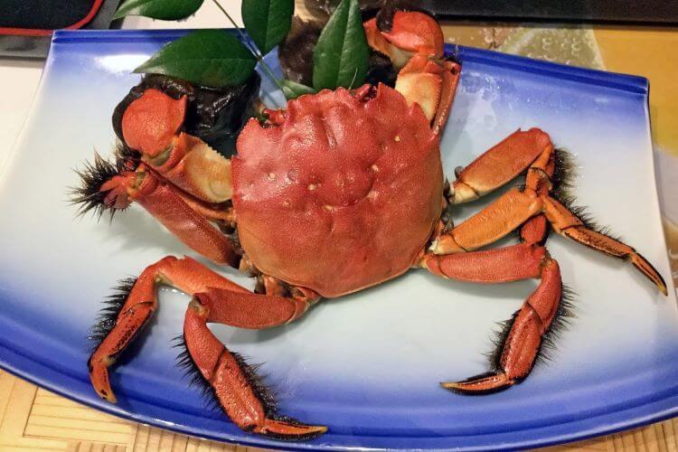 まとめ：佐賀の郷土料理を自宅でも味わいましょう