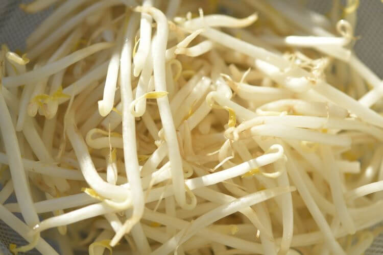 枝豆と大豆ともやしの関係性
